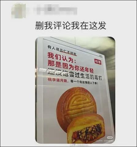 桃李面包致歉：文案是领导拍的板，他正接受“现实毒打”（组图） - 4