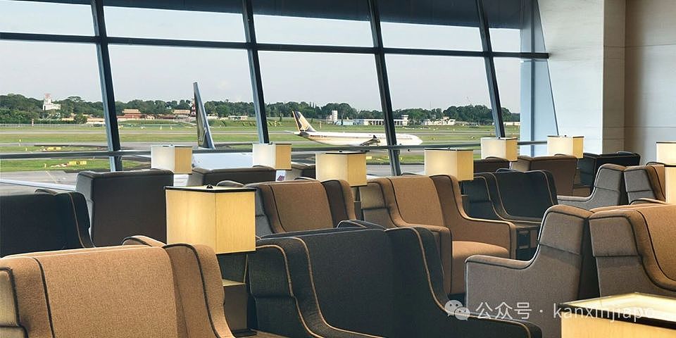 新加坡中国男子在机场作死,3分钟硬气换来8周牢饭(组图) - 1