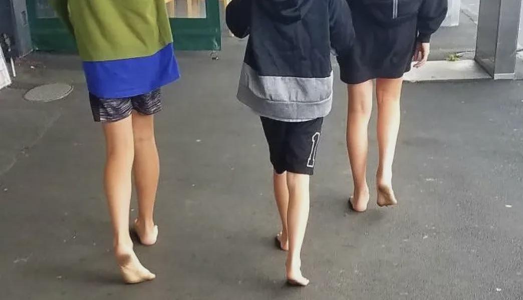 条条扎心！旅游作家分享“新西兰奇葩真相”！直言：这些方面“吊打”澳洲！只有来过才知道……（组图） - 7