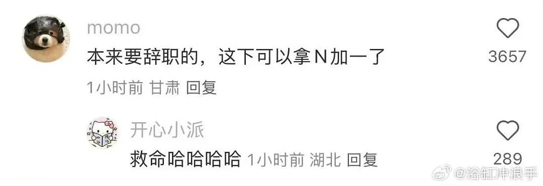 【爆笑】“第一次见女友父母预算200可以买啥?” 哈哈哈哈哈哈被网友支招笑尿了(组图) - 23