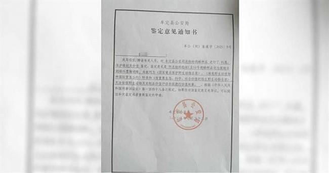 云南两幼儿遭胡蜂狂螫1000针惨死，养蜂人却说...（组图） - 3
