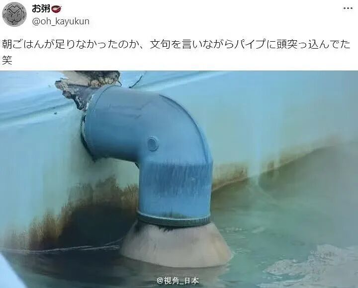 【爆笑】“第一次见女友父母预算200可以买啥?” 哈哈哈哈哈哈被网友支招笑尿了(组图) - 10