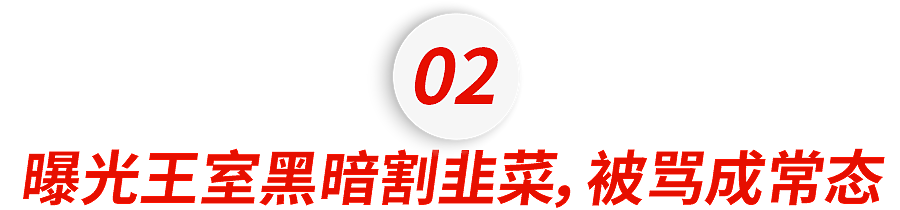 全网黑料第一的王妃,又翻车了(组图) - 12
