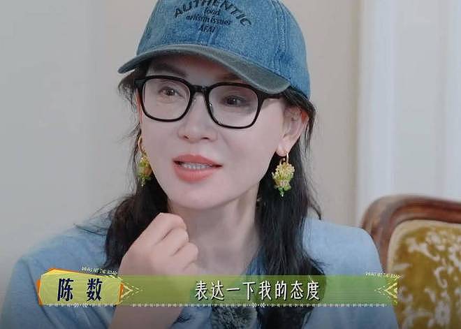 48岁陈数凭什么仍靠美貌吸睛：11个经典角色看颜值几变？整商惊人（组图） - 2