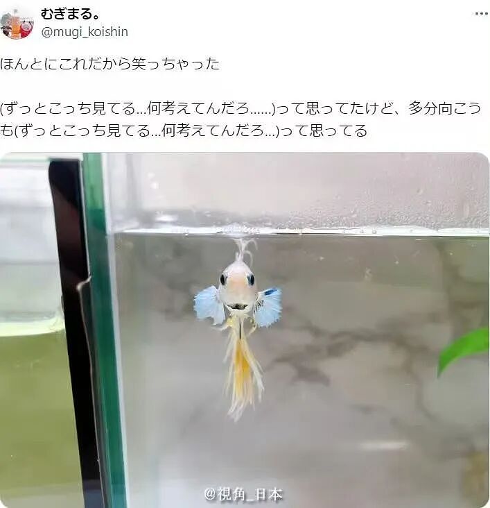 【爆笑】“当你发现同事的工资比你少1w....” 哈哈哈哈哈哈哈打开了一本名为刻薄的书（组图） - 45