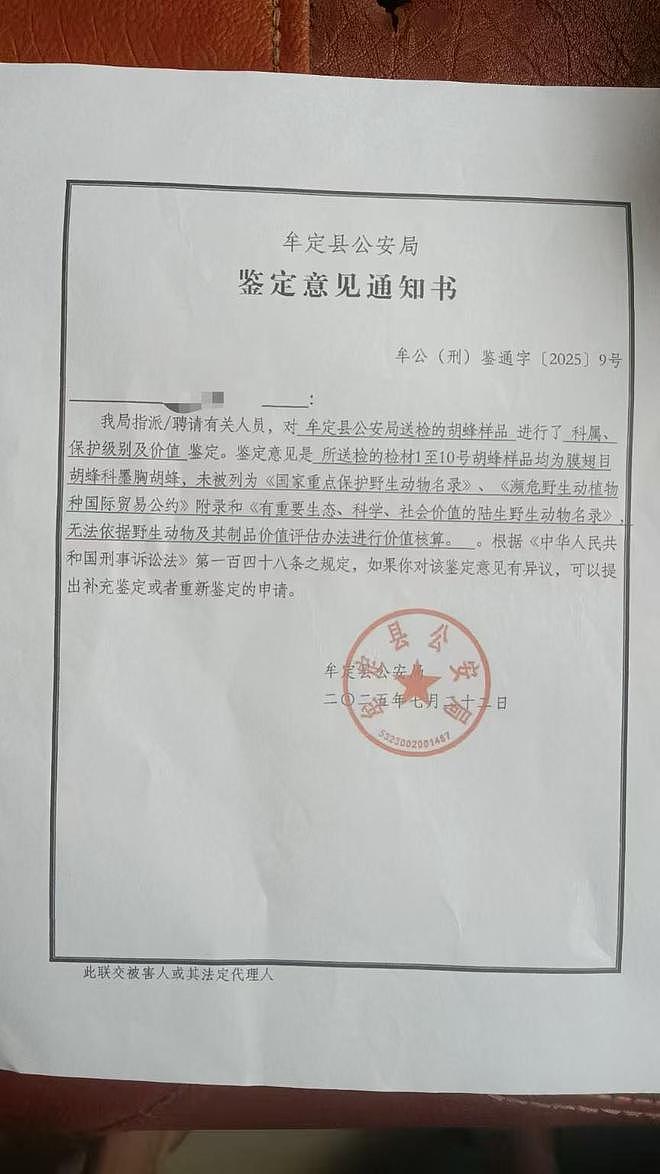 兄妹遭胡蜂蜇数百次身亡，养蜂人：养2年它们从未叮过人（组图） - 1