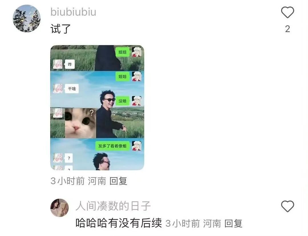【爆笑】“第一次见女友父母预算200可以买啥?” 哈哈哈哈哈哈被网友支招笑尿了(组图) - 94