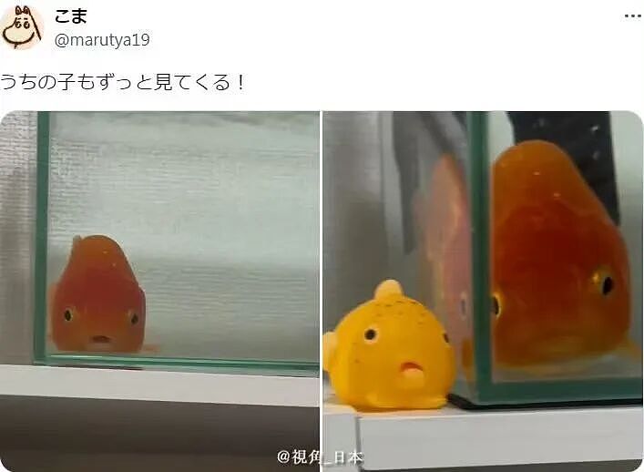 【爆笑】“当你发现同事的工资比你少1w....” 哈哈哈哈哈哈哈打开了一本名为刻薄的书（组图） - 46