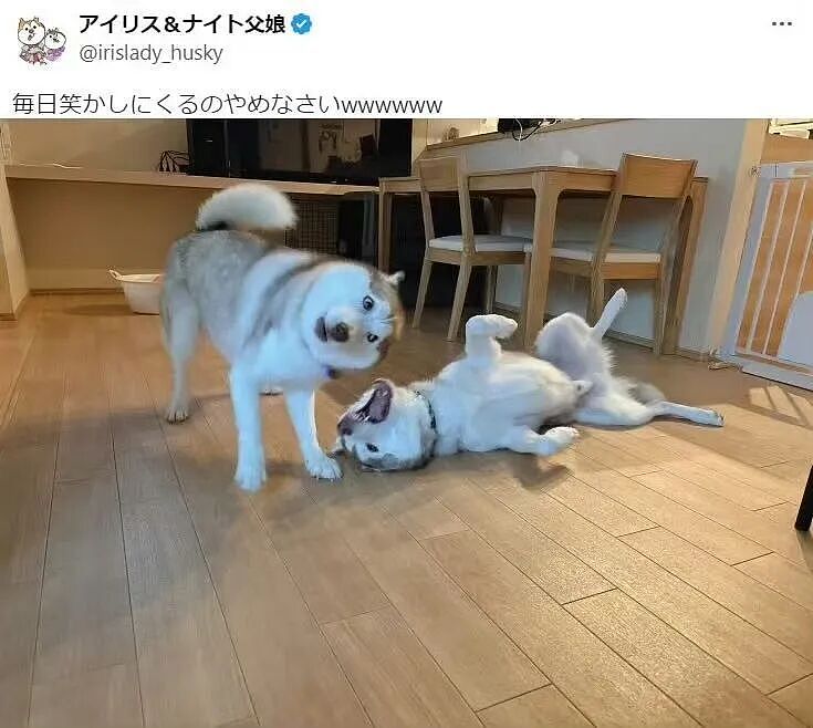 【爆笑】“第一次见女友父母预算200可以买啥?” 哈哈哈哈哈哈被网友支招笑尿了(组图) - 33