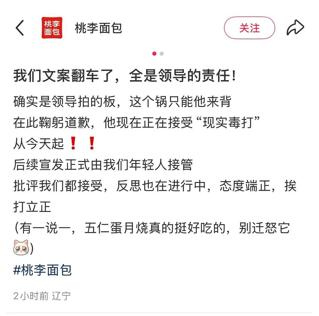 “文案翻车是领导全责！”桃李面包道歉：挨打立正，后续宣发由年轻人接管！“年轻没饱尝生活毒打”广告引争议（组图） - 1