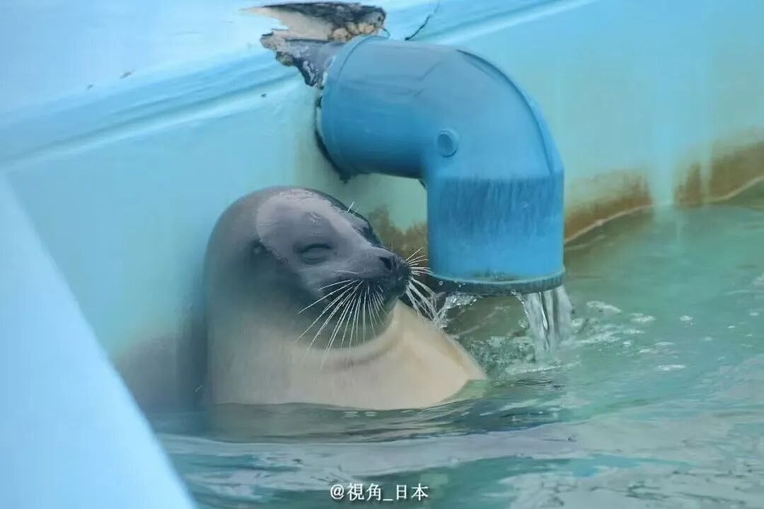 【爆笑】“第一次见女友父母预算200可以买啥?” 哈哈哈哈哈哈被网友支招笑尿了(组图) - 12