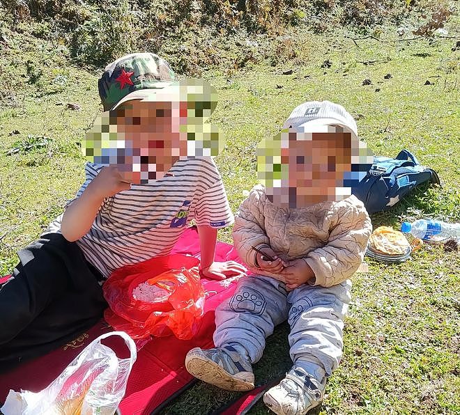 兄妹遭胡蜂蜇数百次身亡，养蜂人：养2年它们从未叮过人（组图） - 2