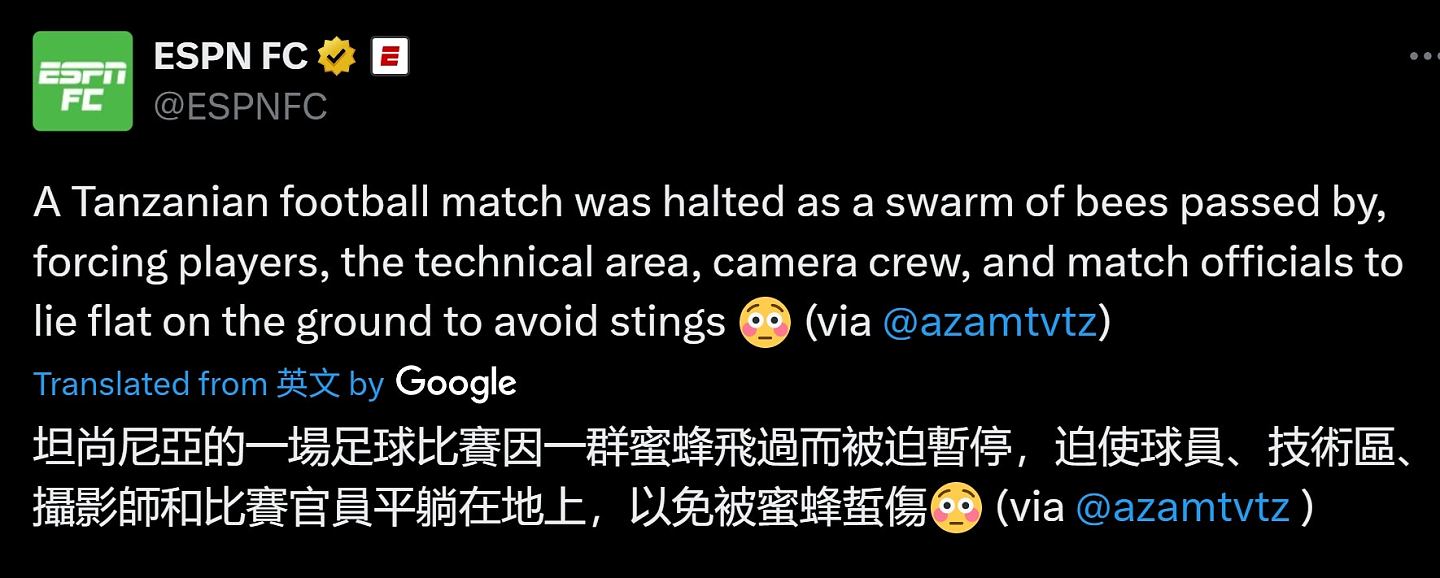 足球踢到一半，全体球员连摄影师突趴地不动，原因令人意想不到（组图） - 2