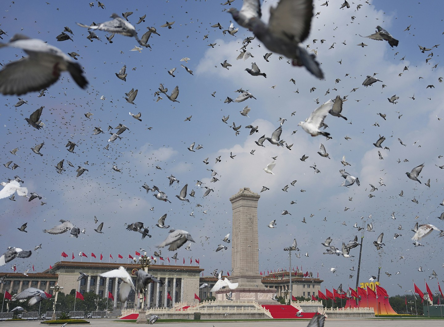 中国阅兵,8万和平鸽如何回家?专家:可靠地磁或太阳定位等(组图) - 1