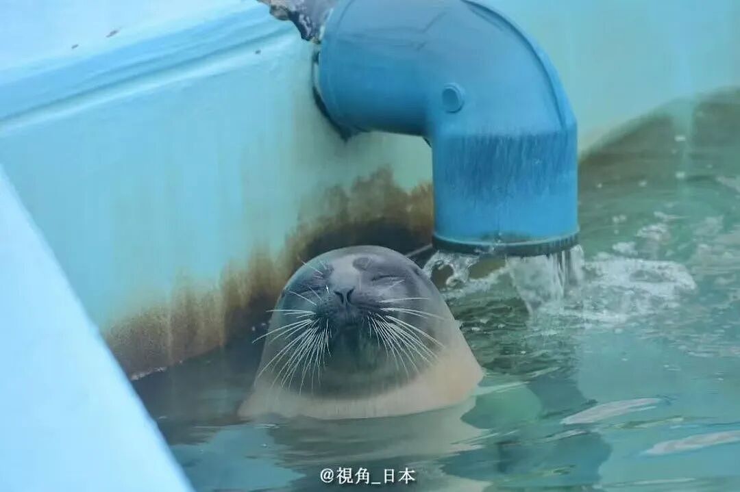 【爆笑】“第一次见女友父母预算200可以买啥?” 哈哈哈哈哈哈被网友支招笑尿了(组图) - 13