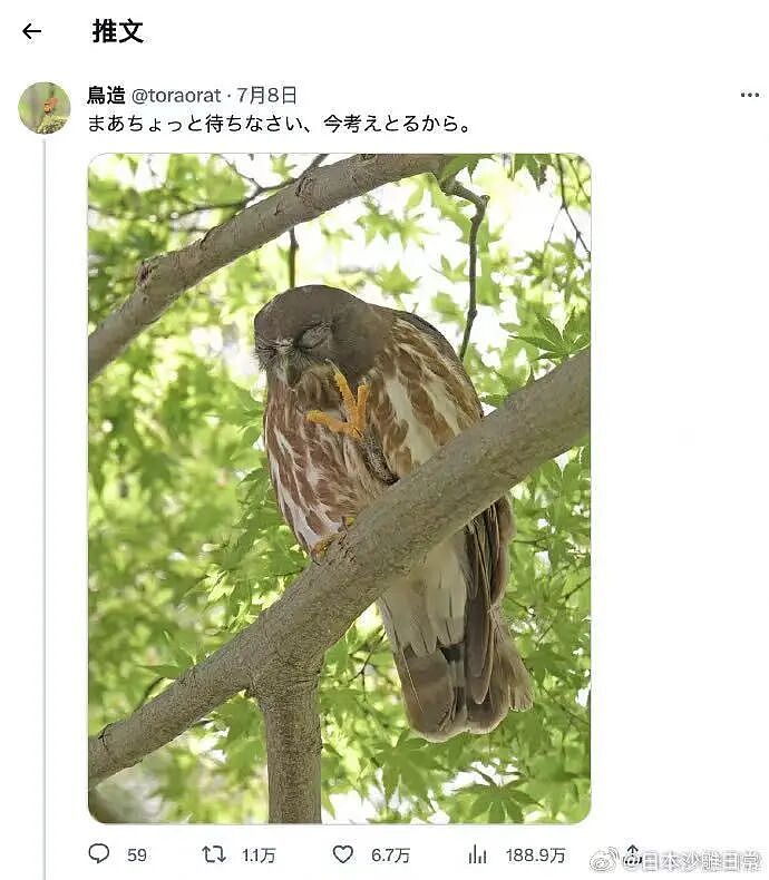 【爆笑】“第一次见女友父母预算200可以买啥?” 哈哈哈哈哈哈被网友支招笑尿了(组图) - 39