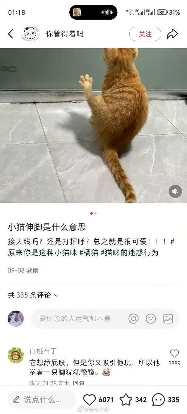 【爆笑】“当你发现同事的工资比你少1w....” 哈哈哈哈哈哈哈打开了一本名为刻薄的书（组图） - 87