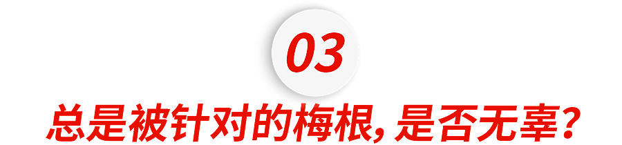 全网黑料第一的王妃,又翻车了(组图) - 22