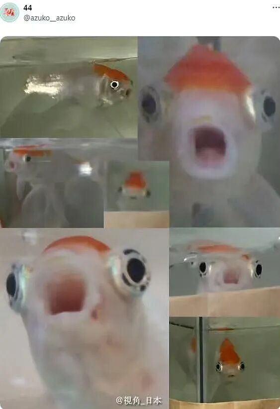 【爆笑】“当你发现同事的工资比你少1w....” 哈哈哈哈哈哈哈打开了一本名为刻薄的书（组图） - 48