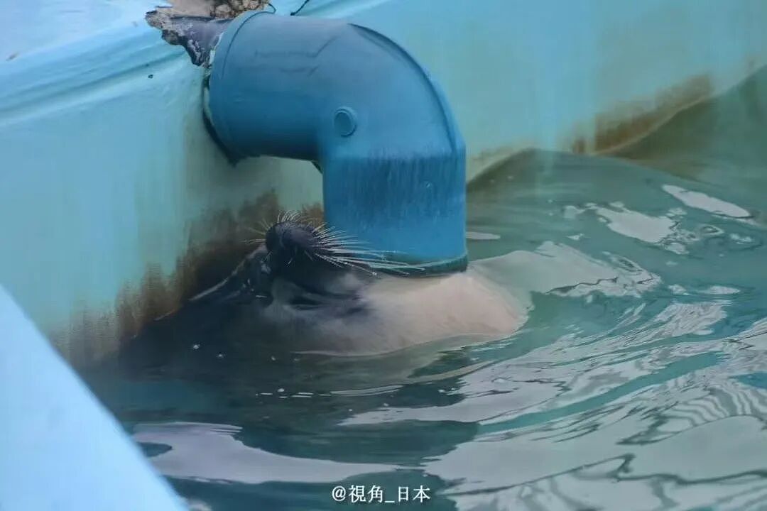【爆笑】“第一次见女友父母预算200可以买啥?” 哈哈哈哈哈哈被网友支招笑尿了(组图) - 11