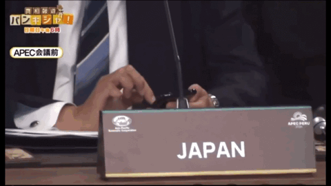 日本首相石破茂正式宣布辞职!曾吐槽当首相太累,没啥乐趣(组图) - 5