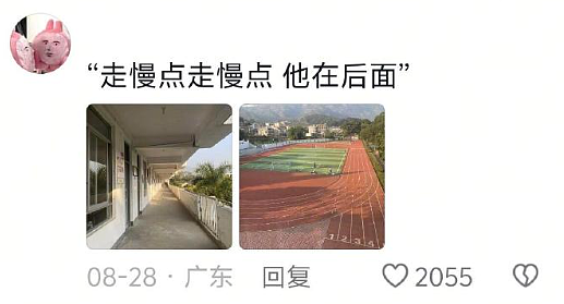 【爆笑】爱马仕的手机壳要5.1w元?网友夺笋:5.1w的手机壳来保护1w的手机么?(组图) - 14