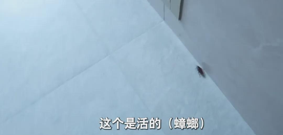 家里清出30吨！男子彻底崩溃：老妈有3套房，越堆越多！开门瞬间涌出……（组图） - 9