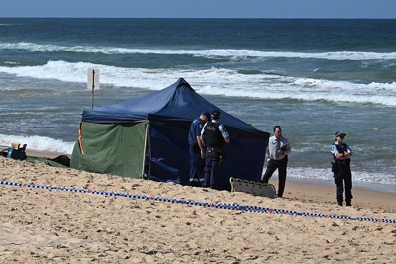 大白鲨澳洲海滩咬死冲浪客，无人机悉尼海边寻鲨（图） - 1