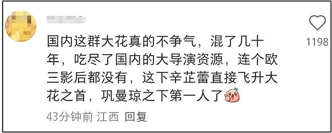 辛芷蕾飞升！夺得威尼斯影后打脸了五个人，美国籍的刘亦菲好尴尬（组图） - 4