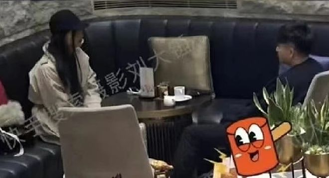 曝辛芷蕾翟天临分手原因，男方无缝衔接新欢，辛芷蕾情伤后冲事业（组图） - 11