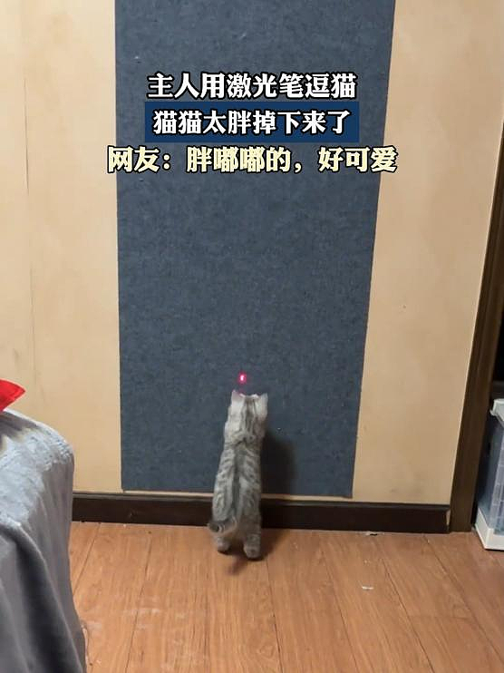 很多人家里有!上海医院接诊,女子康复希望渺茫...受伤时竟没有痛感(组图) - 3