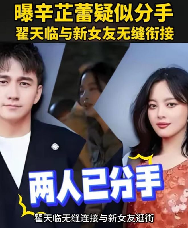 曝辛芷蕾翟天临分手原因，男方无缝衔接新欢，辛芷蕾情伤后冲事业（组图） - 10