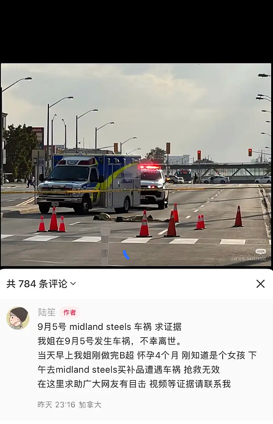 心碎！24岁华人女子过马路遭撞亡：怀孕4个月，一尸两命（组图） - 3