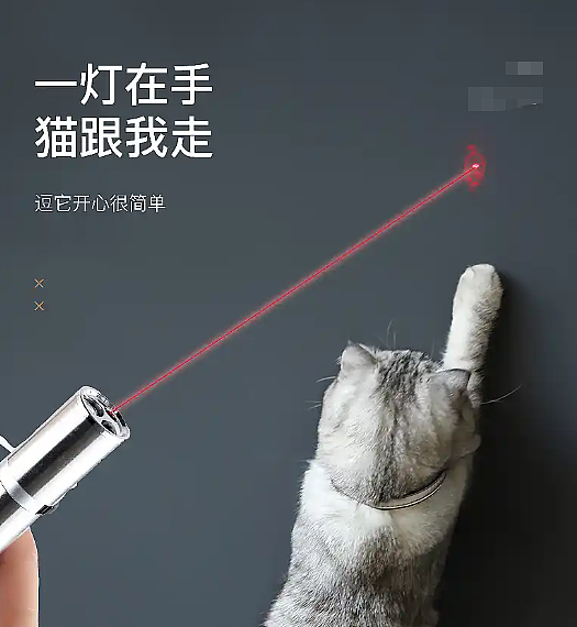 很多人家里有!上海医院接诊,女子康复希望渺茫...受伤时竟没有痛感(组图) - 1