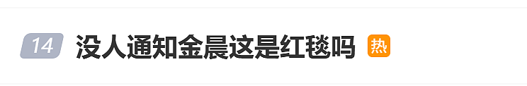 金晨休闲装平底鞋走红毯引热议,工作室回应称“去阿那亚度假,临时被抓去上班”,本人发文:准备有点仓促(组图) - 1