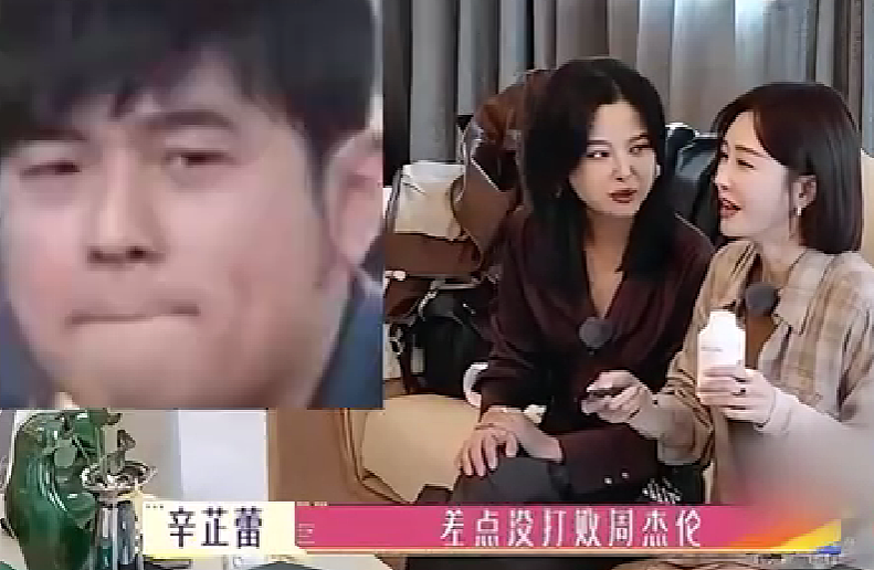 39岁的辛芷蕾，凭一腔欲望在寒门里逆袭（组图） - 19