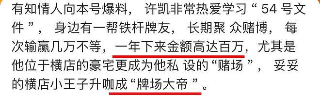 许荔莎回应锤许凯原因，称于正报警威胁她：没人愿意被全民网暴（组图） - 1