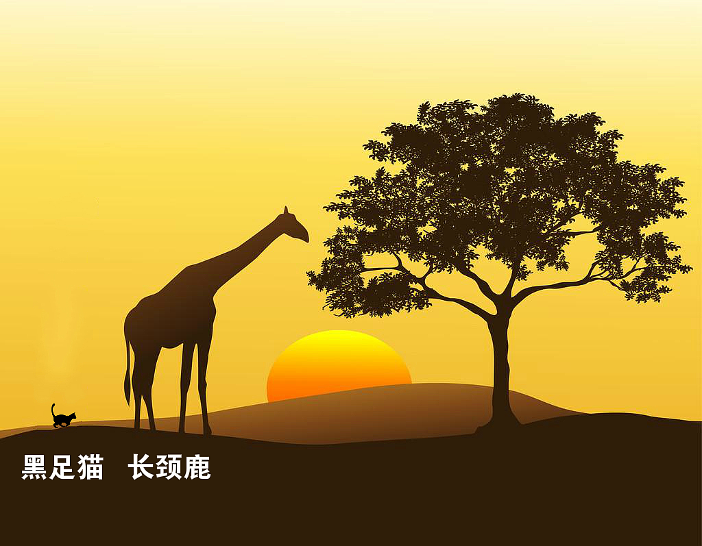 【宠物】千万不要养这种狸花猫,小心牢底坐穿!网友:光是看一眼,我都受不了啊啊啊(组图) - 15