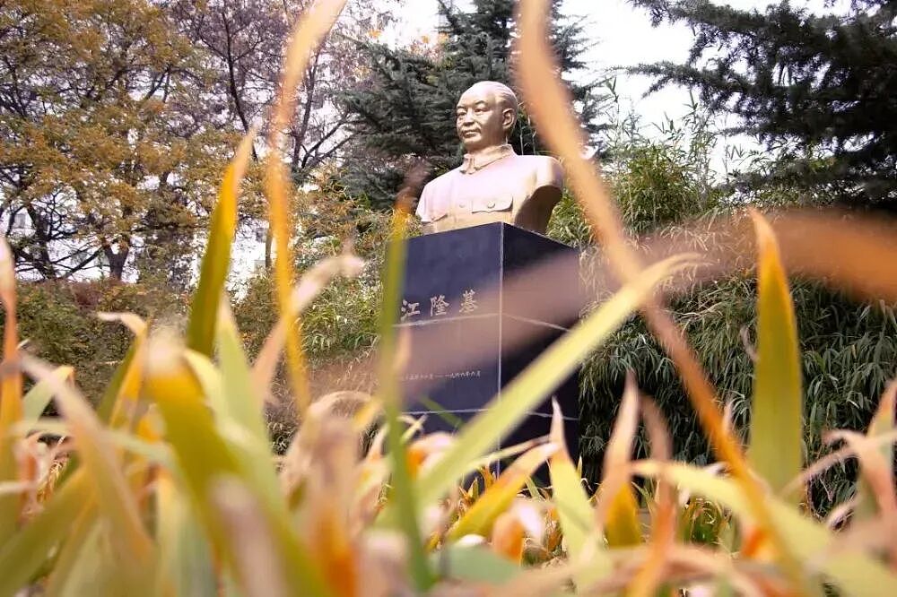“最委屈的985”，将中国光伏送上全球第一（组图） - 1