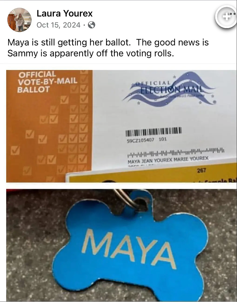 荒唐至极！加州女子给狗登记选民，还成功投票，狗已去世仍收到选票（组图） - 2