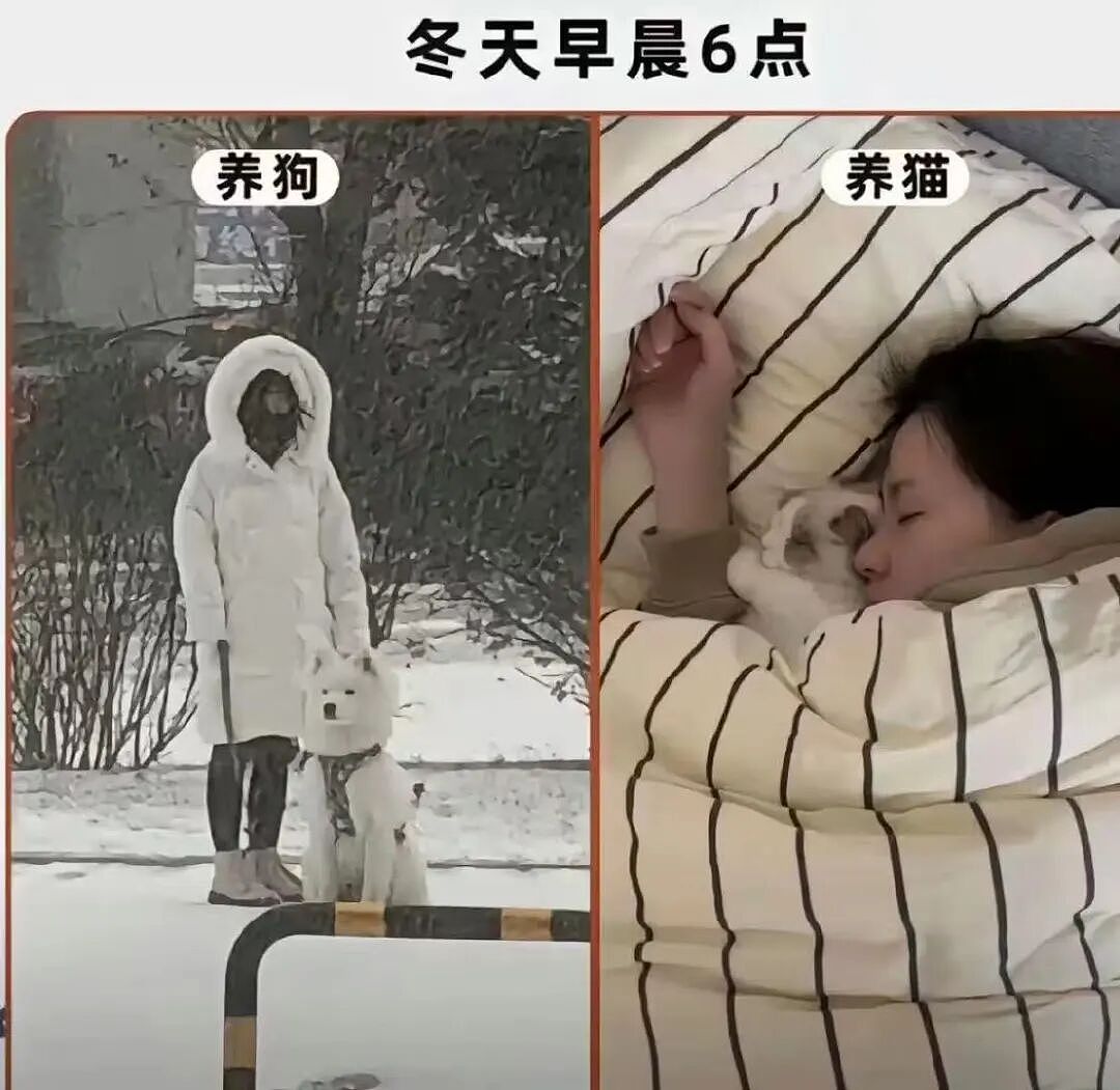 【爆笑】“大早上收到男友妈妈这样的短信…?”啊啊啊这段位也太高了吧(组图) - 15
