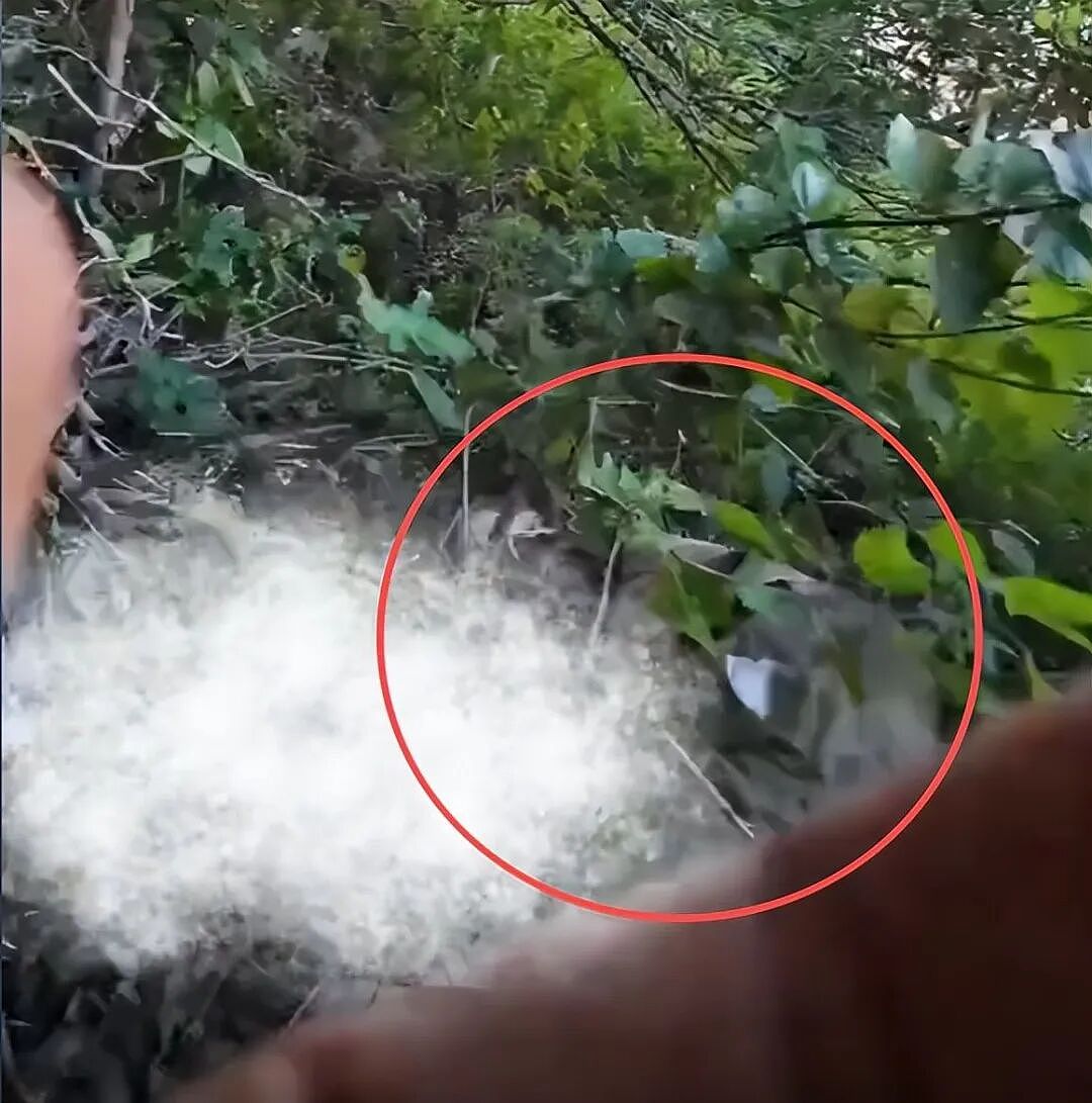 语言不通！陕西游客在毛里求斯徒步下山，帮法国游客找到了德国游客坠崖的儿子，可惜……（组图） - 13