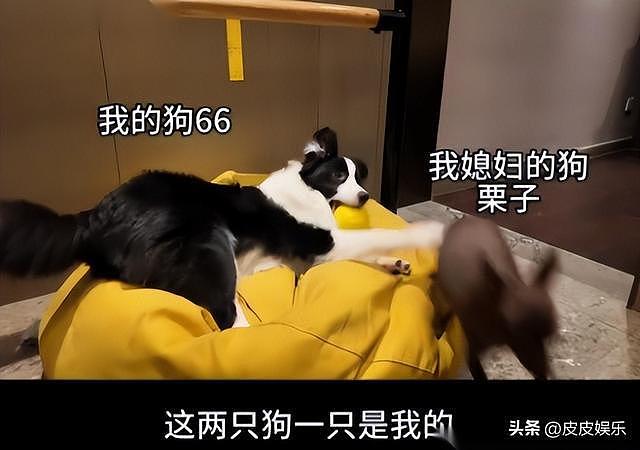 40+男演员为独处,10多年与老婆孩子同小区不同楼!网友:羡慕!(组图) - 9