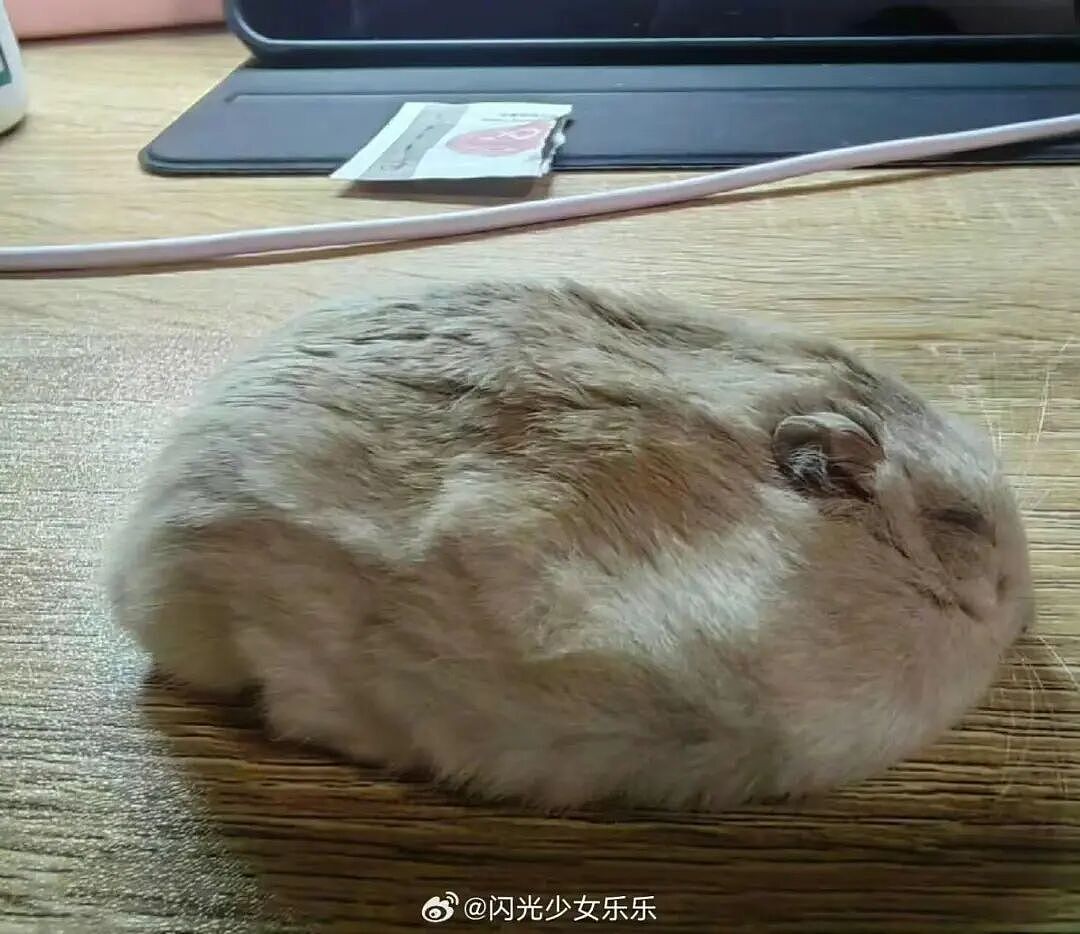 【爆笑】“大早上收到男友妈妈这样的短信…?”啊啊啊这段位也太高了吧(组图) - 59