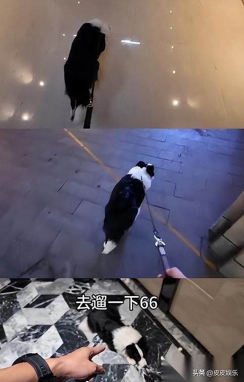 40+男演员为独处,10多年与老婆孩子同小区不同楼!网友:羡慕!(组图) - 4