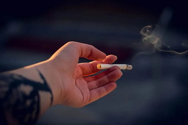 北美最不起眼的地下室里，挤满中国学生（组图） - 9