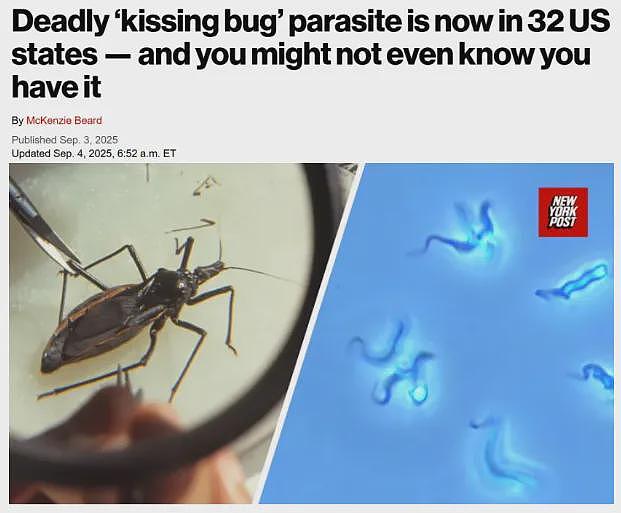 当心这种虫！已蔓延至全美32个州，携带的疾病可引发心脏病、中风或猝死（组图） - 1