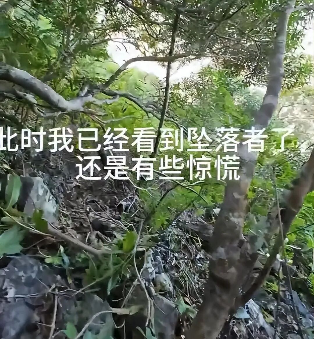 语言不通！陕西游客在毛里求斯徒步下山，帮法国游客找到了德国游客坠崖的儿子，可惜……（组图） - 8