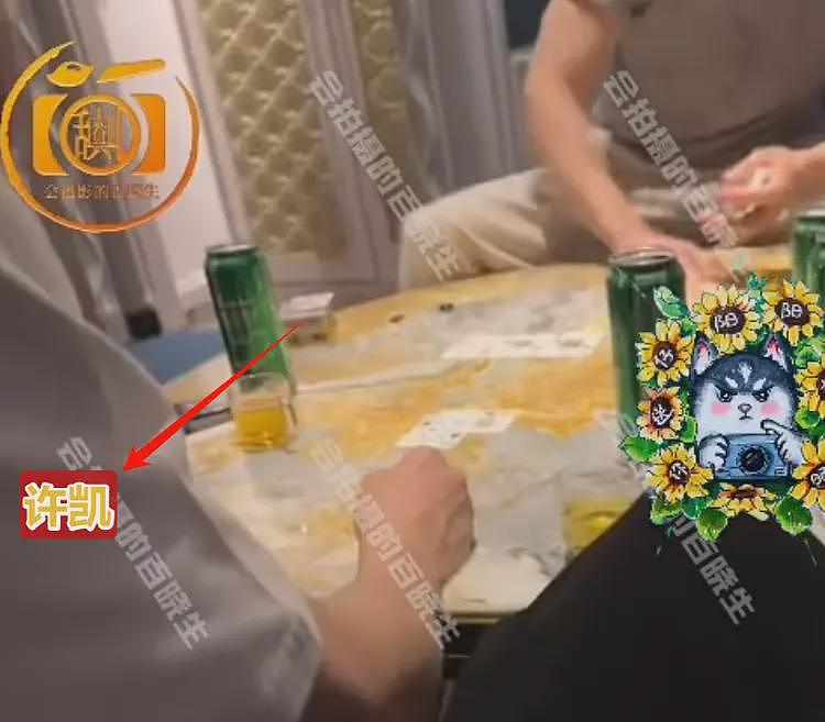 许凯更多黑料曝光，被指聚众赌博，在横店豪宅私设赌场！娱乐圈多位明星涉赌博风波，有小偶像一夜输20万（组图） - 4