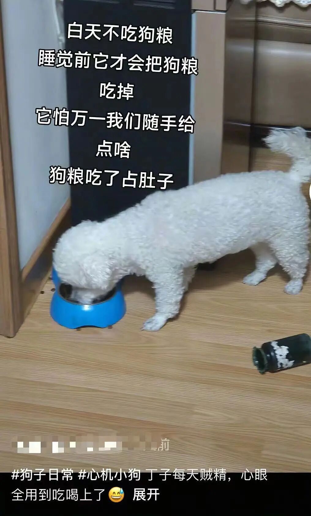 【爆笑】“大早上收到男友妈妈这样的短信…?”啊啊啊这段位也太高了吧(组图) - 30